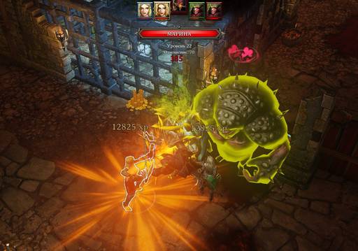 Divinity: Original Sin - Divinity:Original Sin: Две лучницы. (Окончание.)